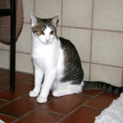 013018afcf84fd53ed1be7bac0415c88