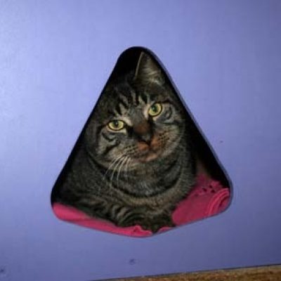 01992a68002478a5c5b88908e4a15edd