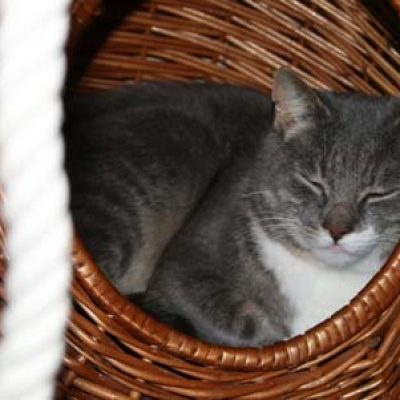 01db144526716df630e705de85c35be7