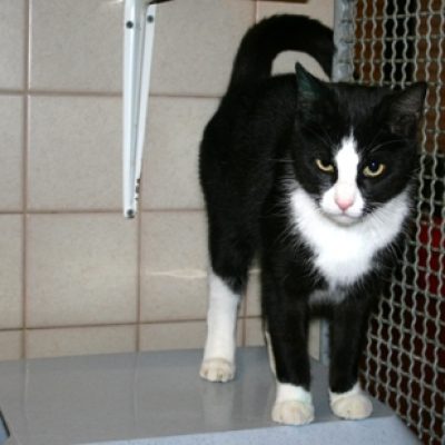 01f69c1f9473a51d2a7c462a87724eec