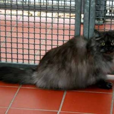 05ae28592704ec4523f3f668751fa5ce