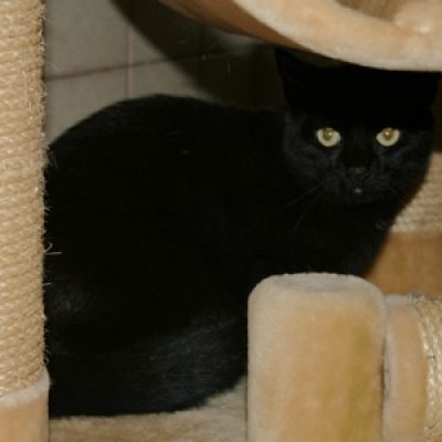 07a60d255a852413ae4590c15b587eaa