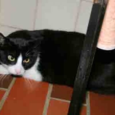 081e8c5764bd56b44c2247712b2a1d08