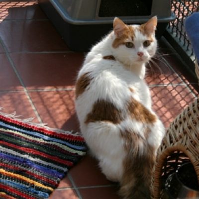 0a0ad529e93f57f85e15802b10ac6d71