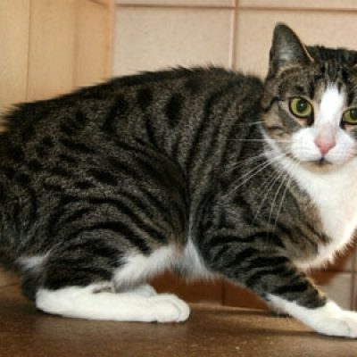 0a785842d1965ae62a9e8464b55ef971