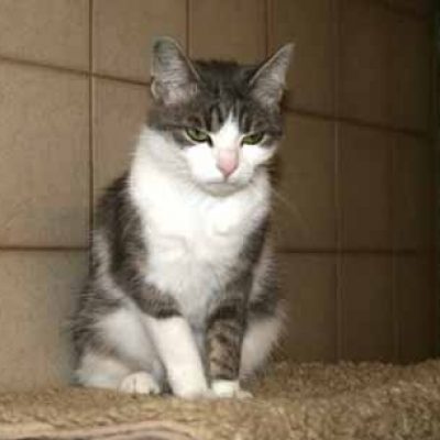 0b13665ae00972807ddb09f249d0abcb