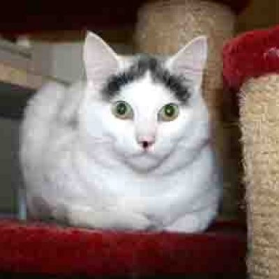 0db8636c0480047b6af6400e772be77d