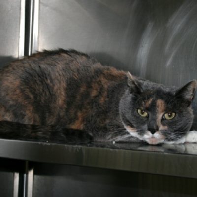 12eb06590dc80d1ec796967956abe661