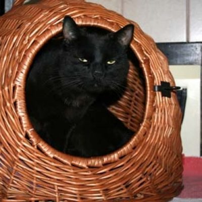 148bf6a78b98601704d4f14fd5fd8d34