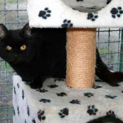 14985840dca330e3b808aa792fa422f9