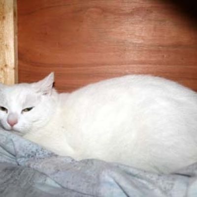 149ee80bc14123589c47db7df7828f61