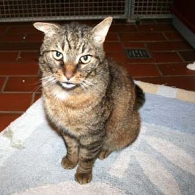 14a83fd3e0e2a8e1fbc8972767b216d9