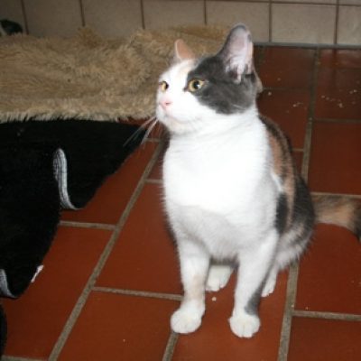 151e7f346a3cc480c1121a28cdb2ea01