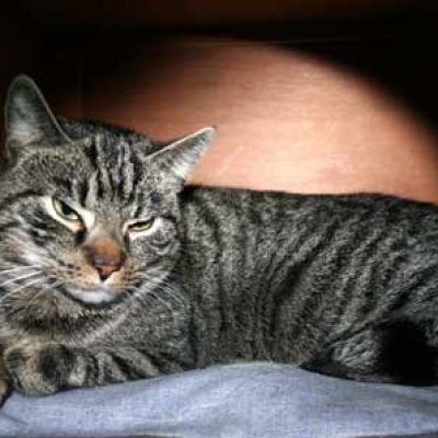 159410b2d8aaed37af98fd73a83bd77e