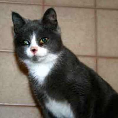 16859c712258acd4f48115f1fd7e0a10