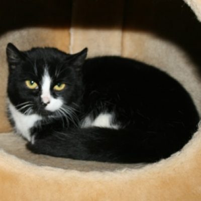 180d9a4c279d10df8c7ef5fca74426c3