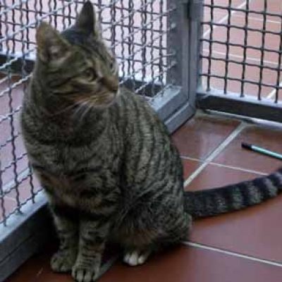 1b5571ffbcbede8990c1eb2447403036