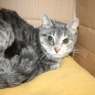 1e6ef7c4a5e387b481a69fb9f361c278