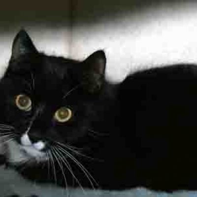 20b5dc5f887e6fe6c5015df5dbc4373e