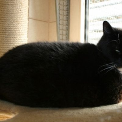 20de757c22c223669137e452488fb41e