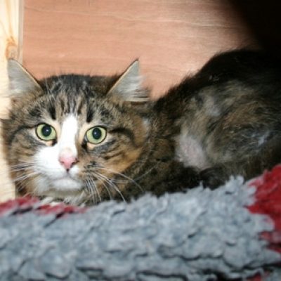 20e5a8f04c915400de5dd2bc304490c1