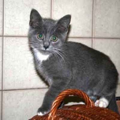 21af8e4730dd4e14142c6fc7f3cea199