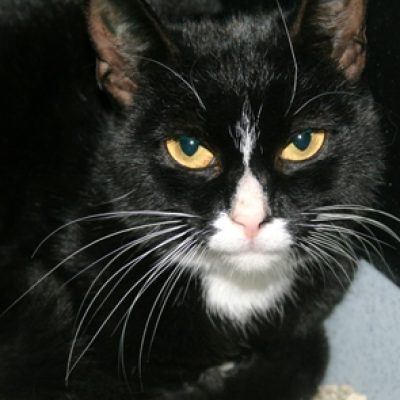 2293e4482ba4cc3c3a287dbbf30f9136