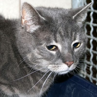 22e0f27f718beb2c1f57cf0e3dece31b