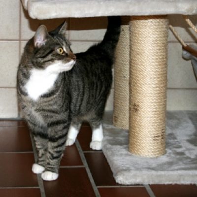 244b5dae760521e76fdae71a187b423f