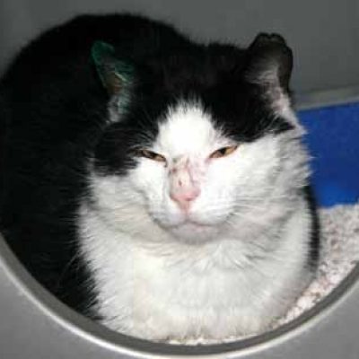 246e4d943d6f04aeb5a14dcdc6215dfe