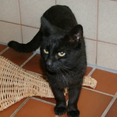 258565ce4d7dff5eb14d5032bc3c05e4