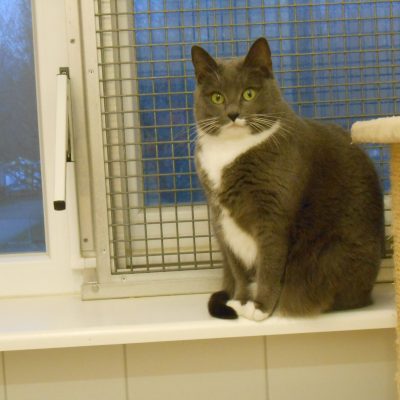 275184c202b82dfb6e8d79ab338fe8c3