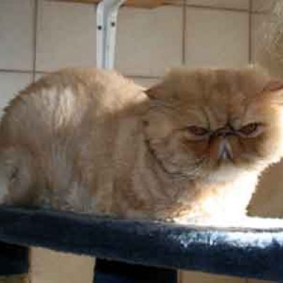 27e7bd57eb75c30b31187bc1ee6beaed