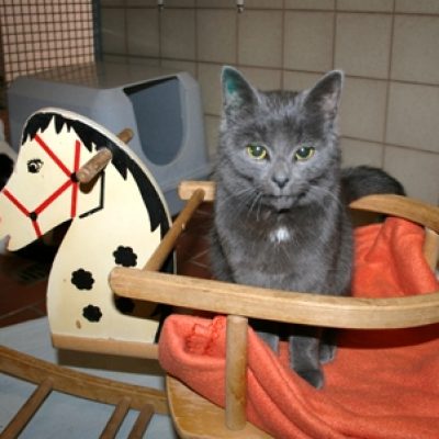 284abb2acff9fb10e3d31009f15c8be7