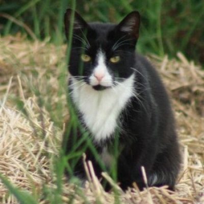 292beb8c5a17214dd89a121e2f7520aa