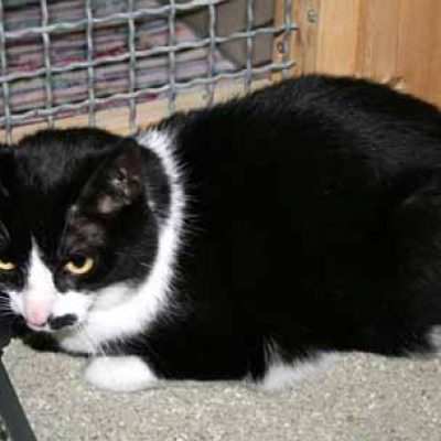 2997bbb12342e7385f76a6413c5cb774