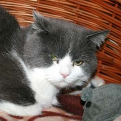 2a8e1377a86b78fb480ecd3a62e761cd