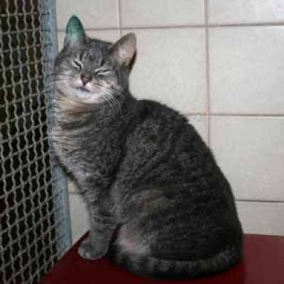 2a95f07f73778b3aeedabd170b334eeb