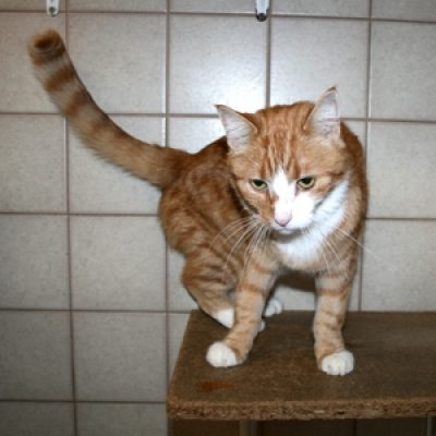 2bd64d7b967017e313e305532023f668