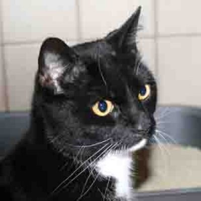 2c9ddefab4fbfbd1f2622b5eb62d3503