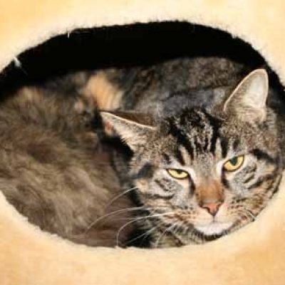 2ffe471e04ba2bdce15b891edda74e34