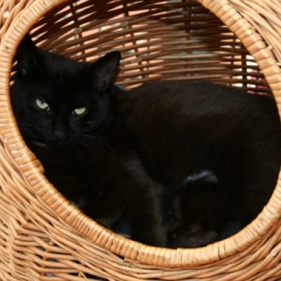 31776f6e6bf414b76f4b8377969aab66