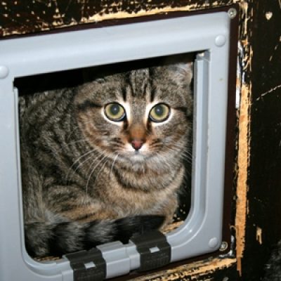 31ab9add10fbfc0fcd2ca409a4405b92