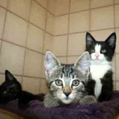 329ab847f562aaa0a479924ce0a8c79f