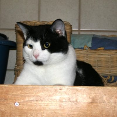 32c2bfee790e49c093a0c22e10399cc8