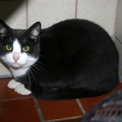 33425c2e506003d2ba9e50d1e2fc3fc5