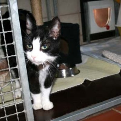 34113e3f628205700ec9cc550290558b