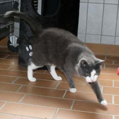 3539bc0fdee690b2d483c30c30833909