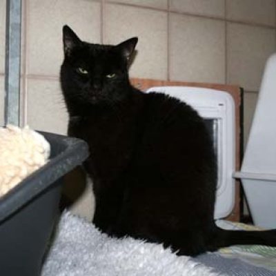 37b053d298ad6b8a5ead98aec083d327