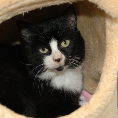 391158b180eef594213594ab063bcbbb